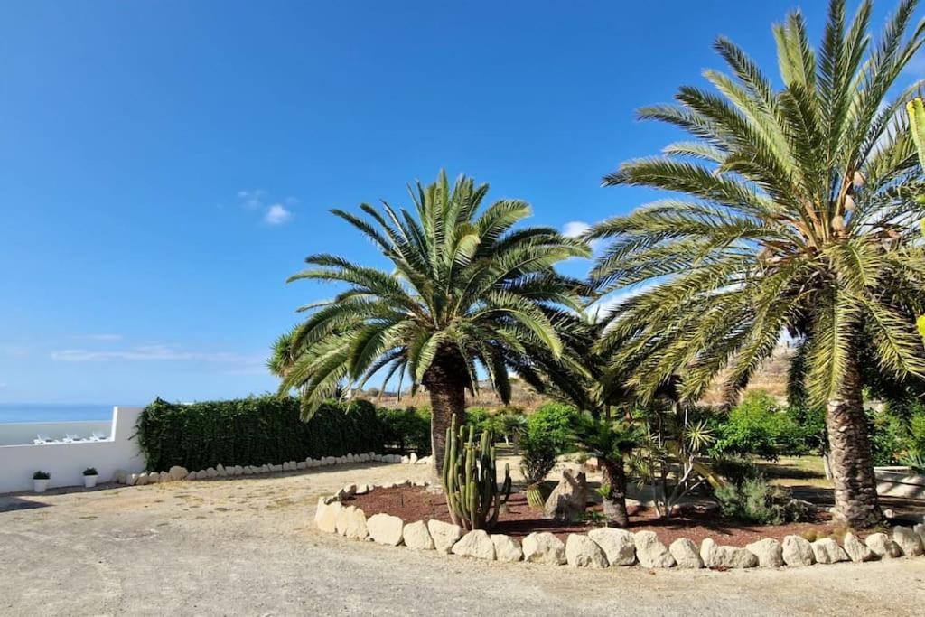 Private House With Pool & Garden Villa Güimar Exterior foto