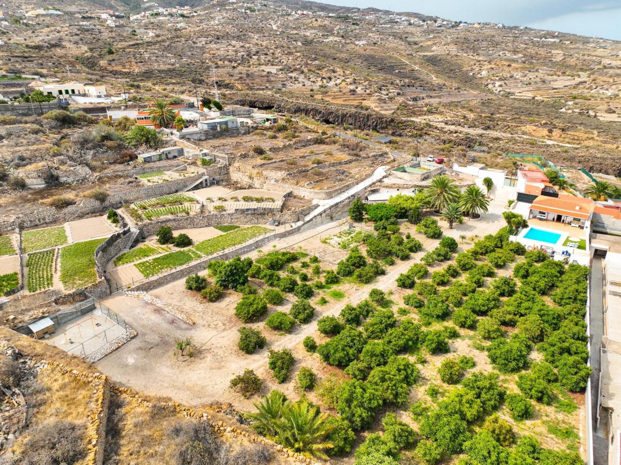 Private House With Pool & Garden Villa Güimar Exterior foto
